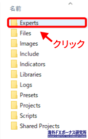 「Expert」を開く