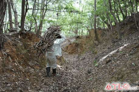 写真 約30kgのオオツヅラフジの束を担いで下山する
※渥美聡孝准教授からご提供いただきました